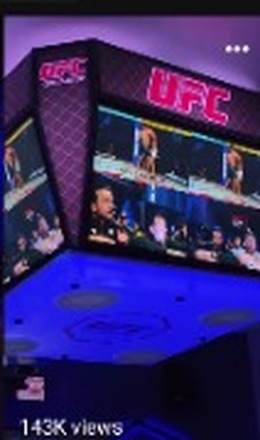 Overhead 4-Sided UFC Octagon Cube